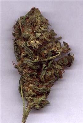 de la weed