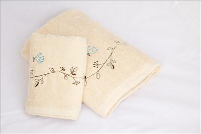 FANCL Towel Set