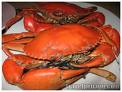 seafood 2