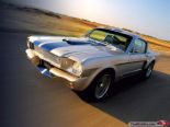 Classic Shelby