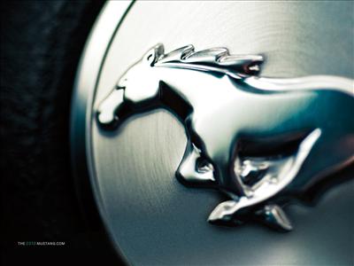 Pony Badge