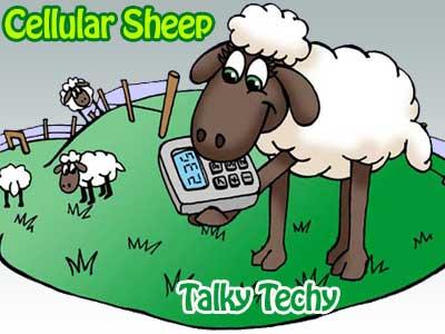 Cellular Sheep