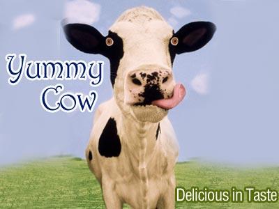 Yummy Cow