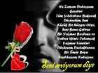 Kırmızı Gül