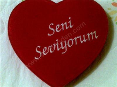 SENİ SEVİYORUM