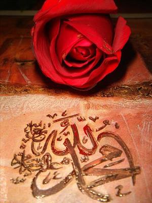 GÜL VE ALLAH  MUHAMMET YAZISI