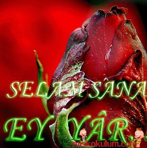 SELAM SANA EY YAR