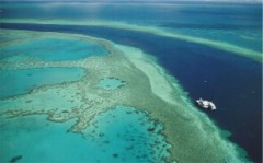 Great B reef