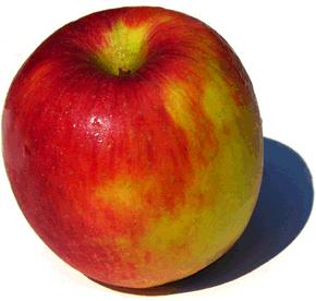 apple