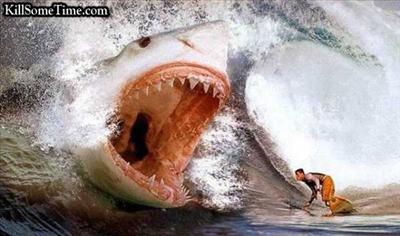 Shark Attack!