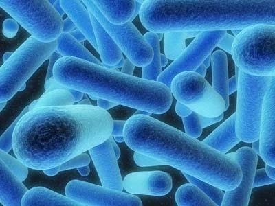 Infectious Disease
