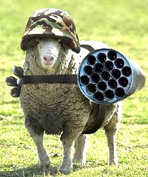 Taliban Secret Weapon