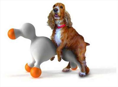 Çiftleşen Köpek