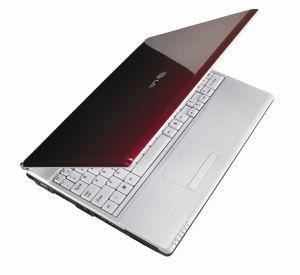 639$ Laptop (Lg)
