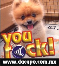 You Rock!!!