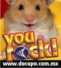 You Rock!!!