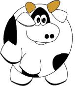 cow