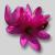 Ixia