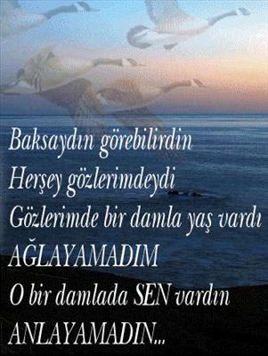 Anlayamadın