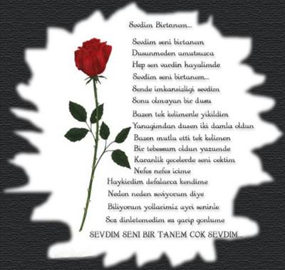 Sevdim Birtanem