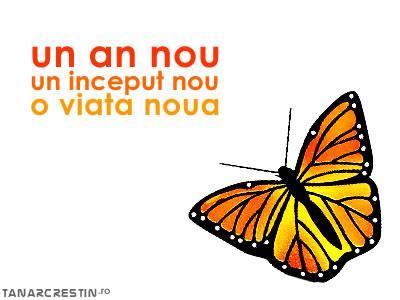 an nou1