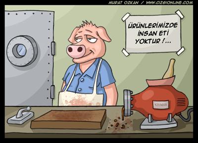 Domuz gribi