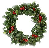 christmas reef