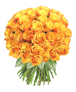Bouquet of Orange Roses