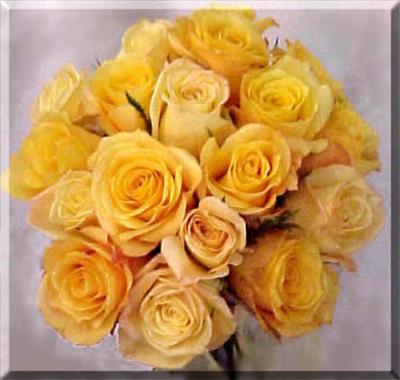 Bouquet of Yellow Roses