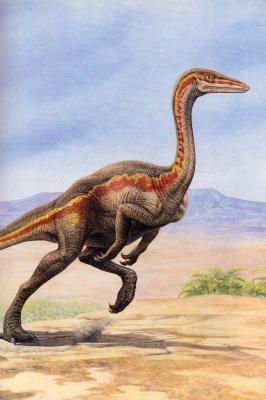 Ornithomimus