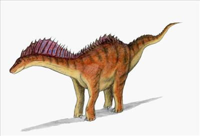 Amargasaurus