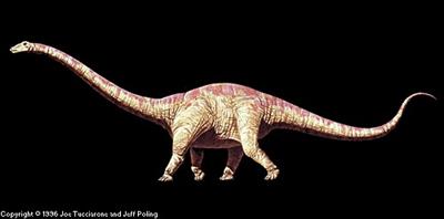 Seismosaurus