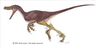 Velociraptor