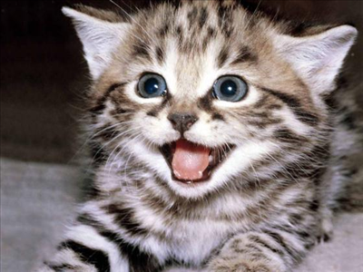 Awwwwwwwww :)