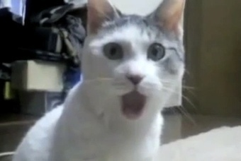 OMG!!!