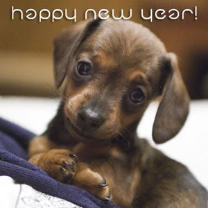 Happy new year
