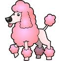 poodle