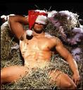 sexy santa