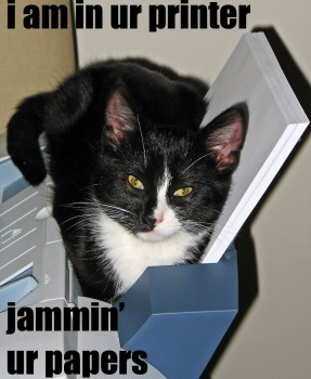 Paper Jam