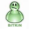 Bitkin