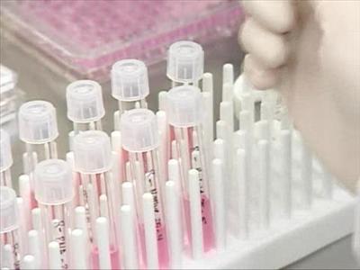h1n1 vaccine