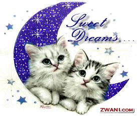 DREAM