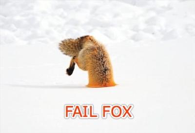 Fail Fox