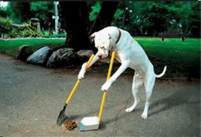 in contrary to the rude dog...