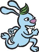 rabit