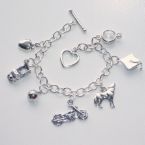 twilight charm bracelet