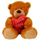 Love heart teddy