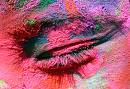 Holi makeup