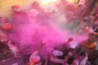 extreme holi