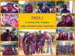holi allover
